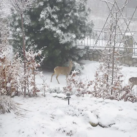 Spacious In With Sauna בית נופש *